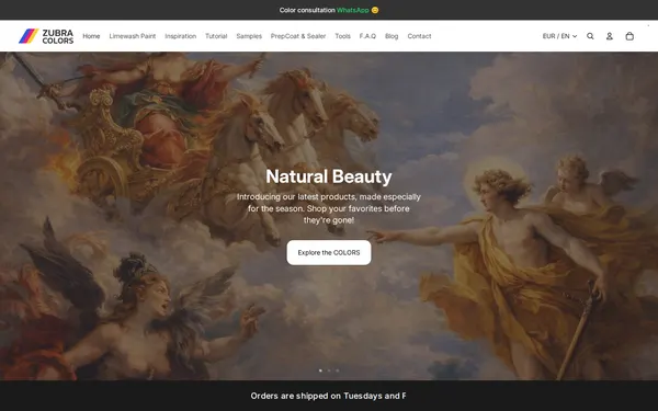 Página de inicio de Zubra Colors, una tienda Shopify que creamos y llevamos